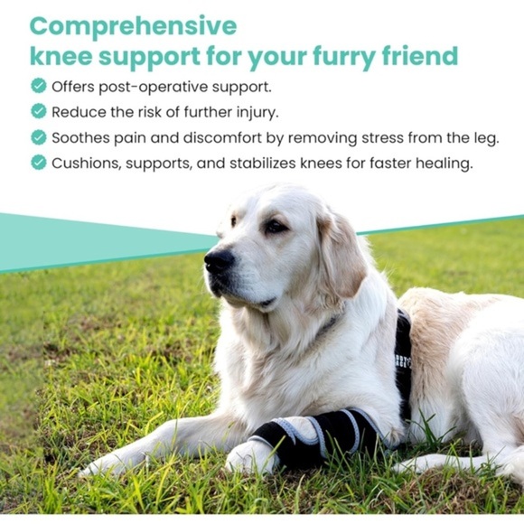 Dog Knee Brace for Torn ACL - Hind Leg‎ Support for Medium Breeds - Picture 5 of 8